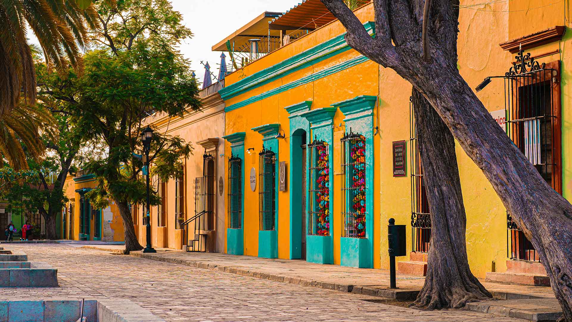 Oaxaca Calles